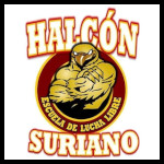 Escuela Halcon Suriano.jpg