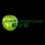 Pro Wrestling EVE 10.jpg