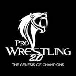 Pro Wrestling 20.jpg