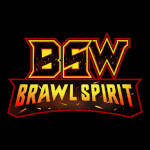 Brawl Spirit Wrestling.jpg