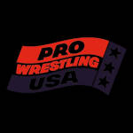 Pro Wrestling USA.jpg