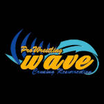 Pro Wrestling Wave.jpg
