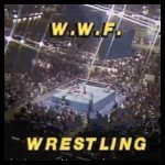 WWFWrestling.jpg