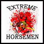 Extreme Horsemen 2.jpg