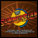 WWF Summerslam4.jpg