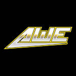 Awesome Wrestling Entertainment.jpg