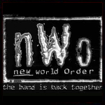 nWo 5.jpg