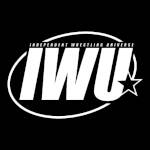 Independent Wrestling Universe.jpg