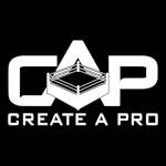 Create A Pro Wrestling.jpg
