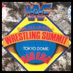 WWF Wrestling Summit 2.jpg