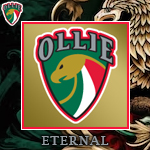 OLLIE.jpg