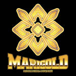 Dream Star Fighting Marigold.jpg