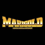 Dream Star Fighting Marigold alt1.jpg