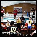 newjapandojo.jpg