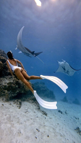 SUR DIVE377@pachamanita