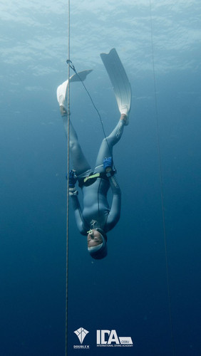 SUR DIVE377@pachamanita.