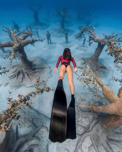 SUR DIVE378@oceana gr