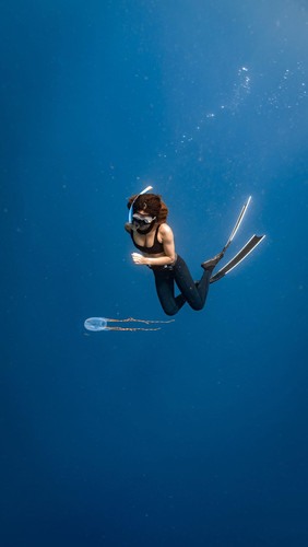 SUR DIVE380.@woj.dop