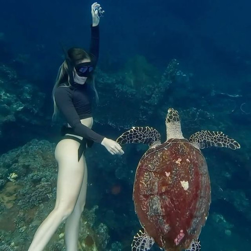 SUR DIVE380WHALEWATCHING @angels.of.the.sea