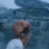 1000055507.gif