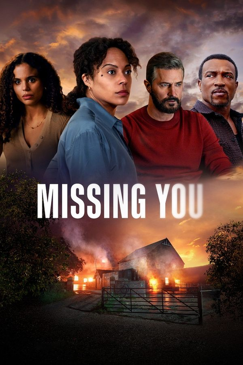 Missing You Season 01 2024 ORG Hindi Netflix Web Series 1080p | 720p | 480p HDRip ESub Download