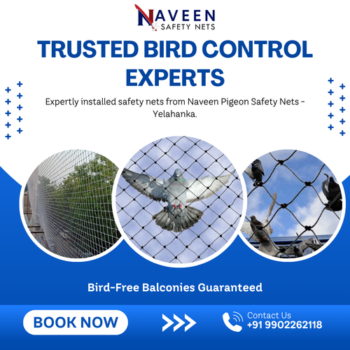 Searching for professional pigeon net installation in Yelahanka?.png