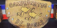 Camp Leapfrog Campeonatos de Ranas alt1.jpg