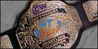 CCW Heavyweight.jpg