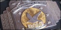 Dove Pro Heavy2.jpg