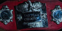 Dragon Pro Tag Team.jpg