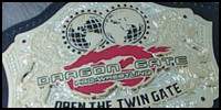 DG Open the Twin Gate.jpg