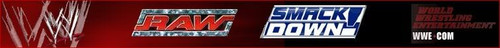 banner WWE2.jpg