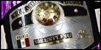 CMLL World LHW.jpg