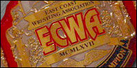 ECWA Heavy.jpg