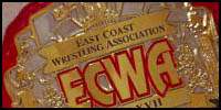 ECWA Heavyweight.jpg