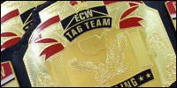 ECW World Tag Team3.jpg