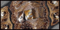 AEW World Title.jpg