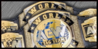 AEW World Tag Team.jpg