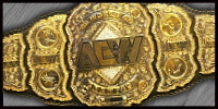 AEW World.jpg