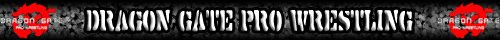 Dragon Gate Banner.jpg