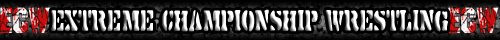 ECW Banner 1.jpg