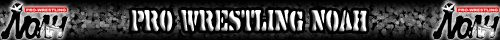 NOAH Banner.jpg