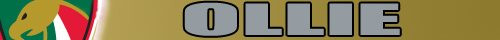 OLLIE.jpg