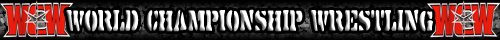 WCW Banner 1.jpg