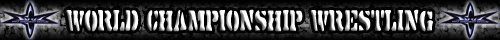 WCW Banner 2.jpg
