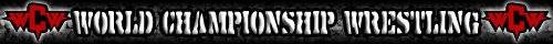 WCW Banner 3.jpg