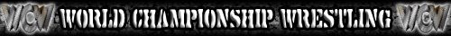 WCW Banner 4.jpg