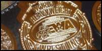 EWA Jr Heavyweight.jpg