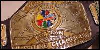 AWA Southern Tag Team.jpg