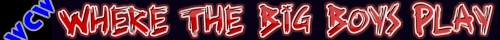 WCW Banner 13.jpg
